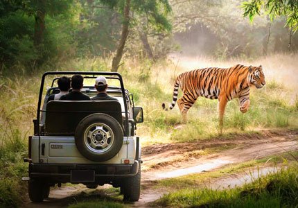 Jim Corbett