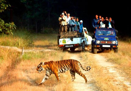 Jim Corbett
