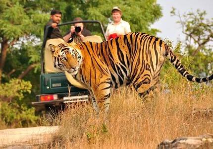 Jim Corbett