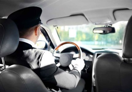 Professional Driver Rental
