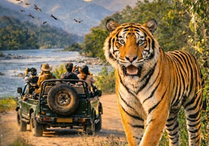 Jim Corbett